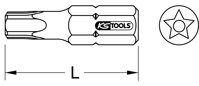 10 mm CLASSIC bit pre päťhviezdu, otvor, TS40