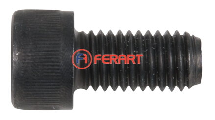 Skrutka M10 x 20,0 mm