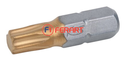 1/4" TIN bit Torx, 25mm, T30