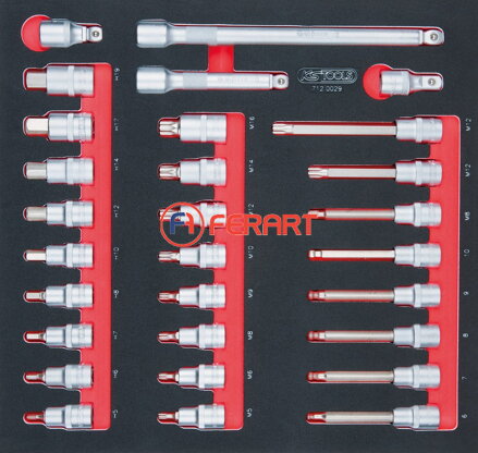 SCS 1/2" súprava nástrčných bitov, 29-dielna, v 2/3 systémovej vložke