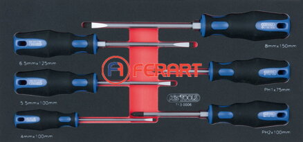 SCS ERGOTORQUEplus súprava skrutkovačov, 6-dielna, v 1/3 systémovej vložke