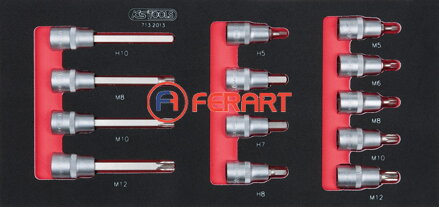SCS 1/2" súprava nástrčných bitov, 13-dielna, v 1/3 systémovej vložke