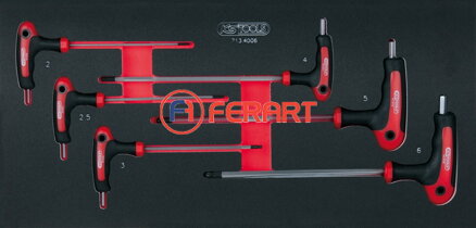 SCS súprava imbusových uhlových čapových kľúčov s T-rukoväťou, 6-dielna, v 1/3 systémovej vložke