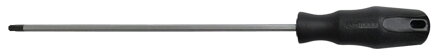 ERGOTORQUE skrutkovač Torx, T15, dlhý