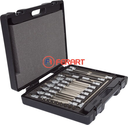 1/4" +1/2" súprava nástrčných bitov pre motor. vozidlá, 38-dielna