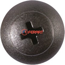 Svorka Push-Type pre Ford,10 ks