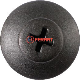 Svorka Push-Type pre Ford,10 ks