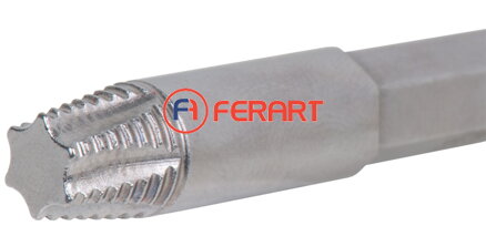 1/4" špeciálny bit pre vyťahovák skrutiek Torx, TE25