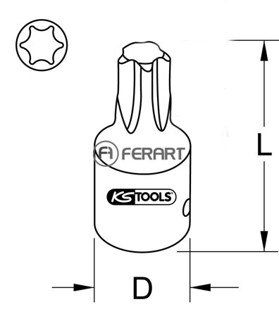 1/2" silový bit nástrčný Torx, krátky, T55