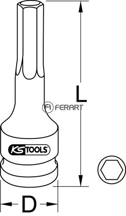 1/2" silový bit nástrčný Torx, dlhý, T30