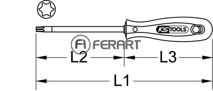 ERGOTORQUE skrutkovač Torx, T15, dlhý