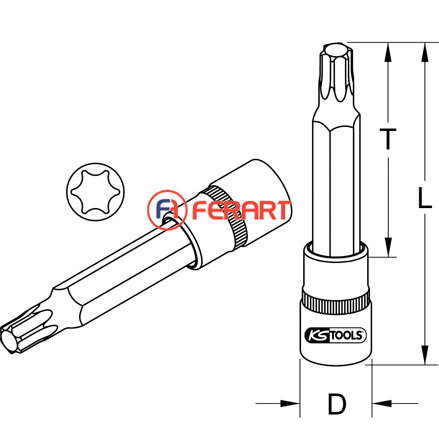 1/2" bit nástrčný Torx, dlhý, T15