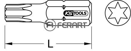 1/4" TIN bit Torx, 25mm, T25, súprava 5 kusov