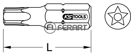 10 mm CLASSIC bit pre päťhviezdu, otvor, TS40