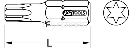 5/16" CLASSIC bit Torx, 30mm, T20