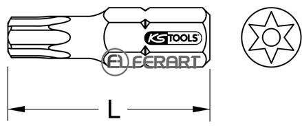 1/4" TORSIONpower bit Torx, 25mm, TB30, s otvorom, súprava 5 ks