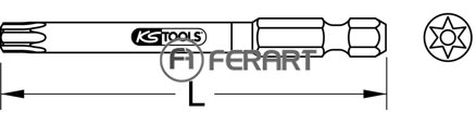 1/4" TORSIONpower bit Torx, 75mm, TB10, s otvorom